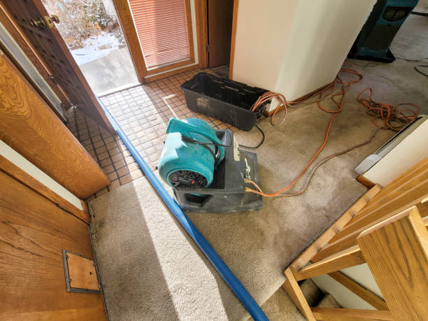 Best Water damage contractors near me  in New Castle, IN