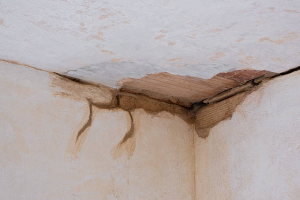 Best Emergency water damage restoration  in New Castle, IN