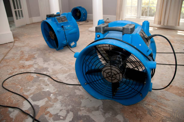Best 24/7 water damage repair  in New Castle, IN