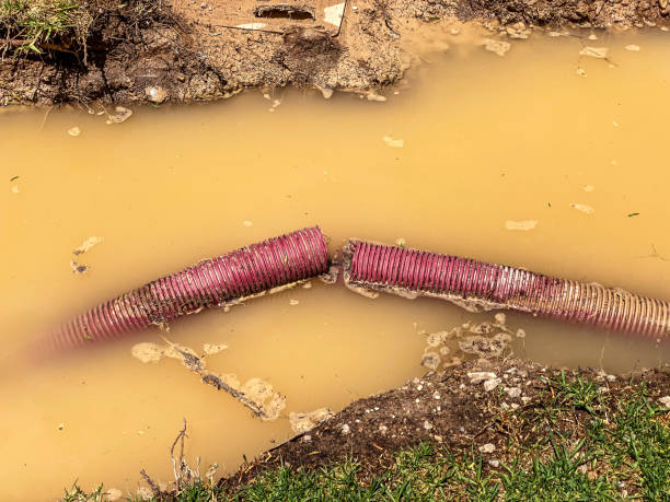 Water damage restoration mold remediation in New Castle, IN